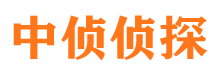 海口市私家侦探